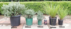 Plastic Pots & Bags