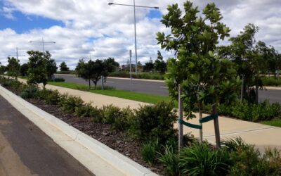 Landcom Oran Park Town