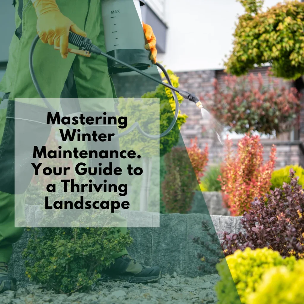 Mastering Winter Maintenance image